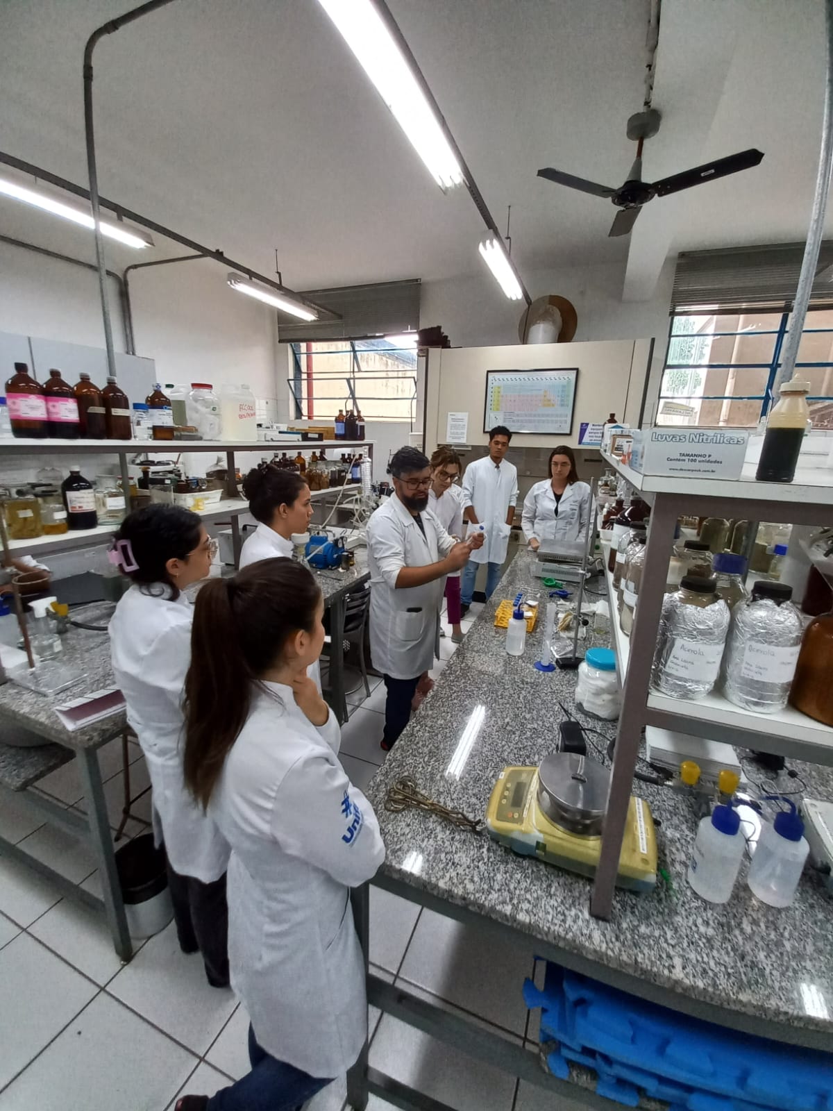 Treinamento de Férias