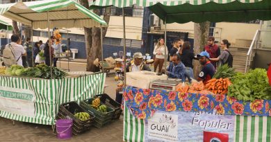 Feira Agroecológica e Cultural lançada na UNIFAL-MG incentiva consumo de produtos orgânicos