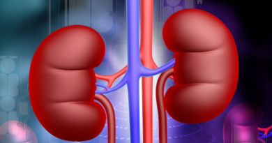 Acadêmicos do curso de Farmácia lançam “Guia de Prevenção da Doença Renal Crônica”; e-book está disponível para download gratuitamente