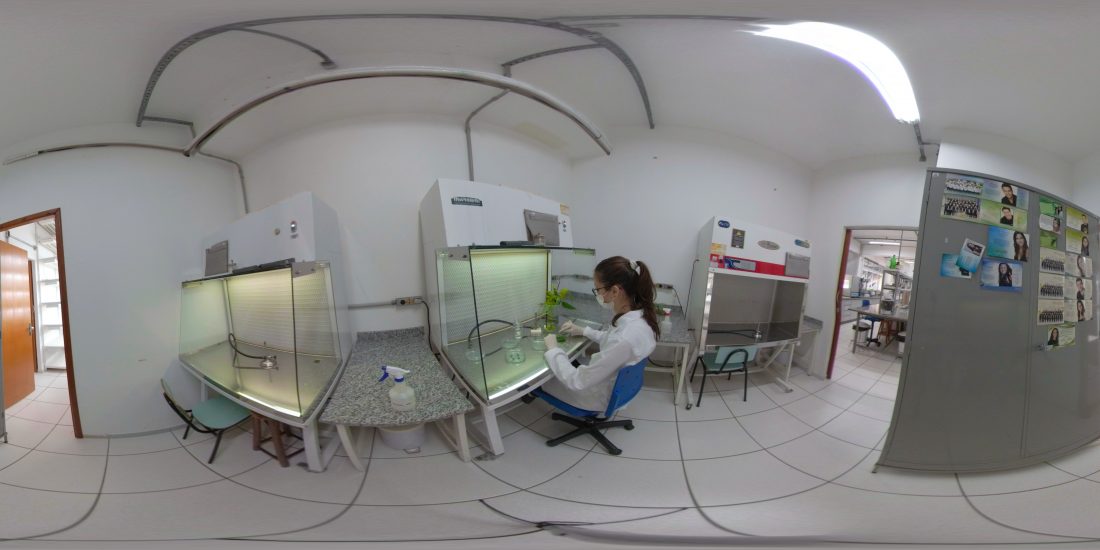 Laboratório de Biotecnologia Vegetal