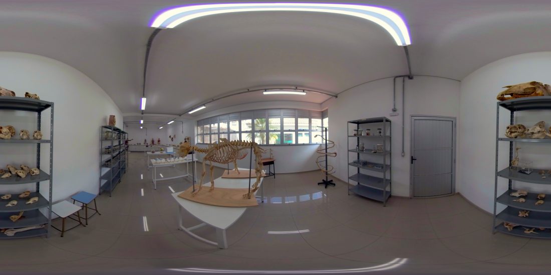 Museu de Anatomia