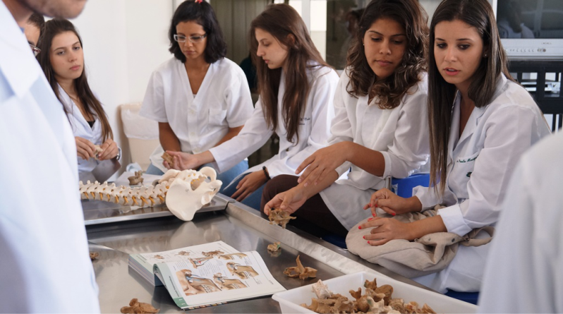 Engenharia Ambiental, Fisioterapia e Medicina da UNIFAL-MG obtêm nota  máxima no Enade 2019; na avaliação, 89% dos cursos receberam notas 4 e 5 –  Universidade Federal de Alfenas