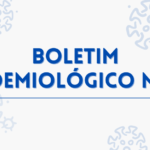 :: Boletim Epidemiológico N° 43 – 11/10/2021 – Situação epidêmica de Covid-19 em Minas Gerais e no sul de Minas