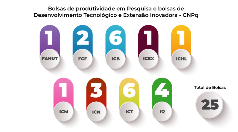PROCESSO SELETIVO PARA BOLSISTAS DE EXTENSÃO TECNOLÓGICA NÍVEIS II E III NO ÂMBITO DO PROGRAMA ALFABETIZAR PRA VALER