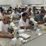 Equipe do Laboratório de Parasitologia Clínica irá ajudar na identificação das larvas de Aedes aegypti na região  