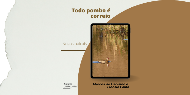 “Todo pombo é correio” – Marcos de Carvalho e Eloésio Paulo