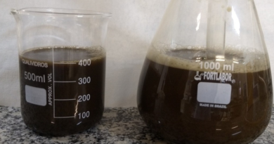 Chá de composto de plantas e de esterco bovino contribui para o crescimento do milho em meio à seca e à presença de metais no solo