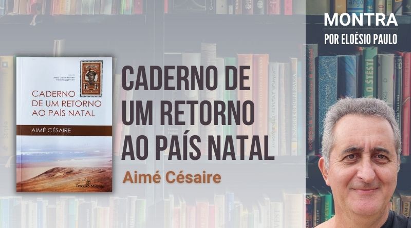 O orgulho e a tristeza do xadrez: as trágicas semelhanças entre