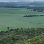 Egressos do curso de Geografia da UNIFAL-MG alertam para a urgência de medidas de preservação e restauração do Cerrado