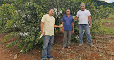 Pesquisa apresenta diagnóstico da realidade socioeconômica dos agricultores familiares de Alfenas