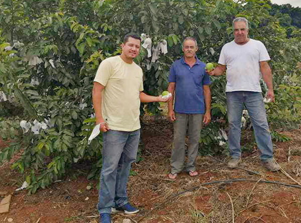 Pesquisa apresenta diagnóstico da realidade socioeconômica dos agricultores familiares de AlfenasInvestigação realizada no mestrado em…