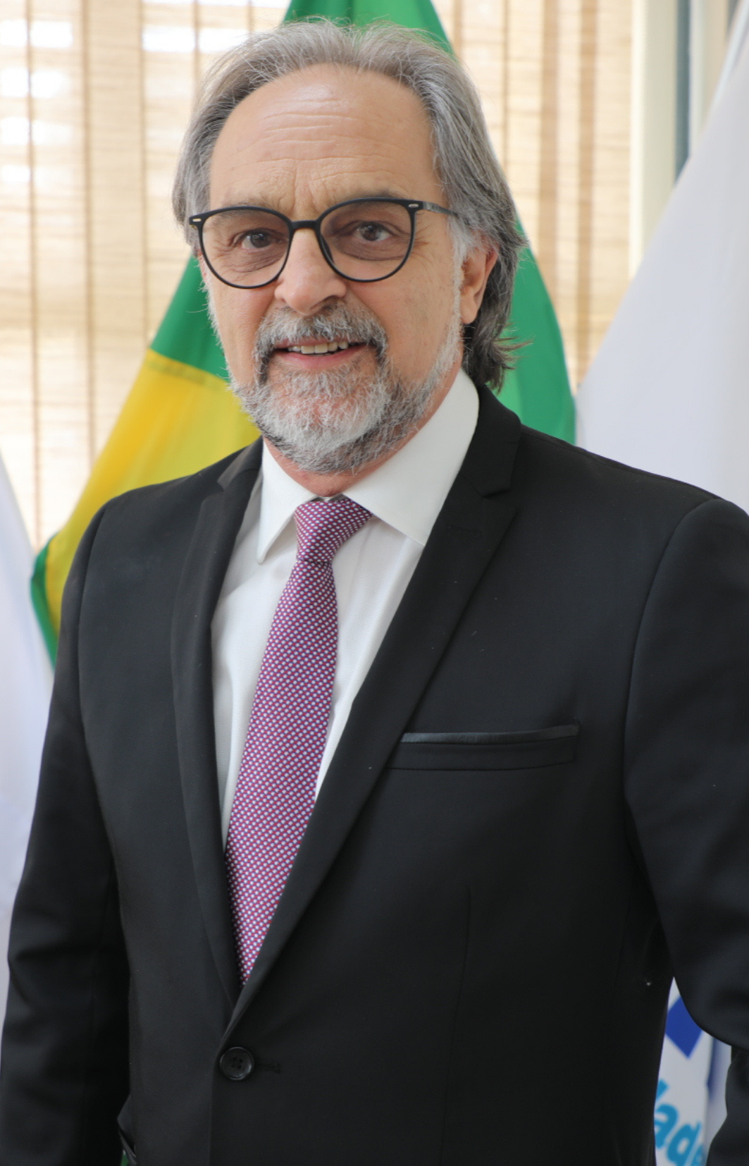 Prof. Alessandro Antônio Costa Pereira
