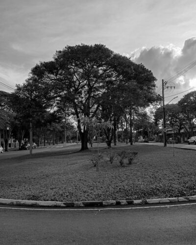 Uma tarde na universidade. 2025. Eduardo Filipe